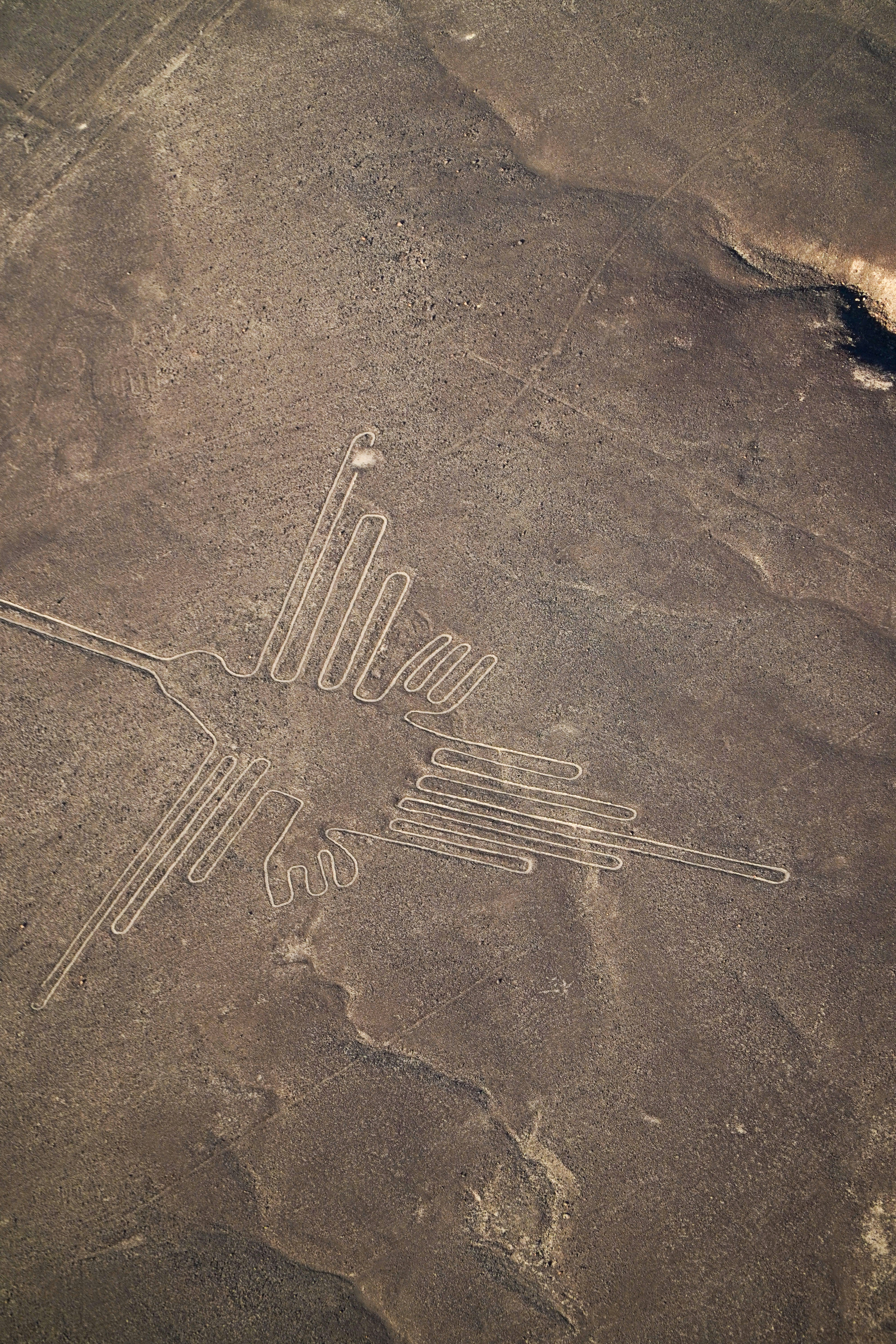 Nazca Lines Hummingbird Geoglyph