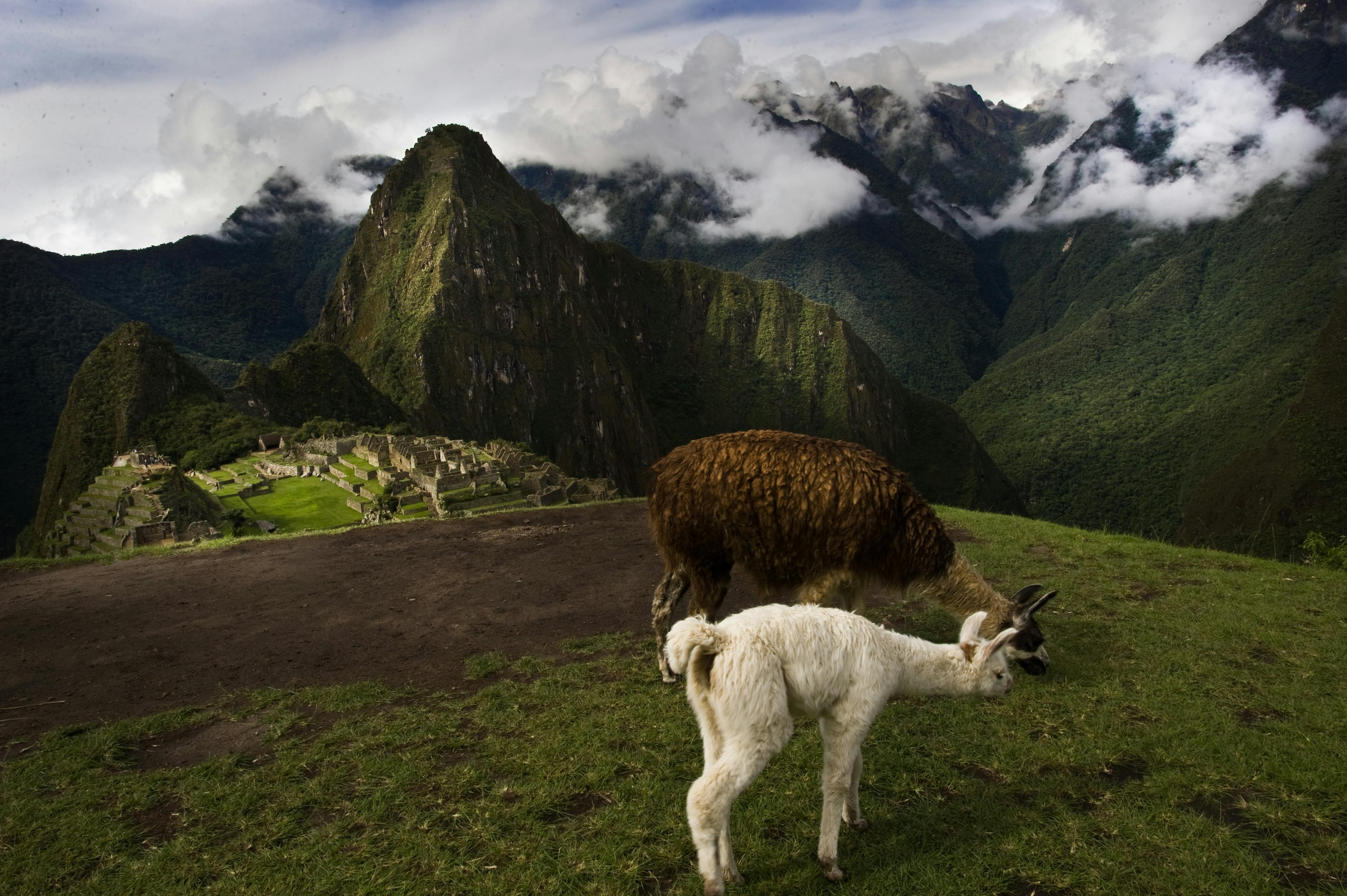 Huayna Picchu
