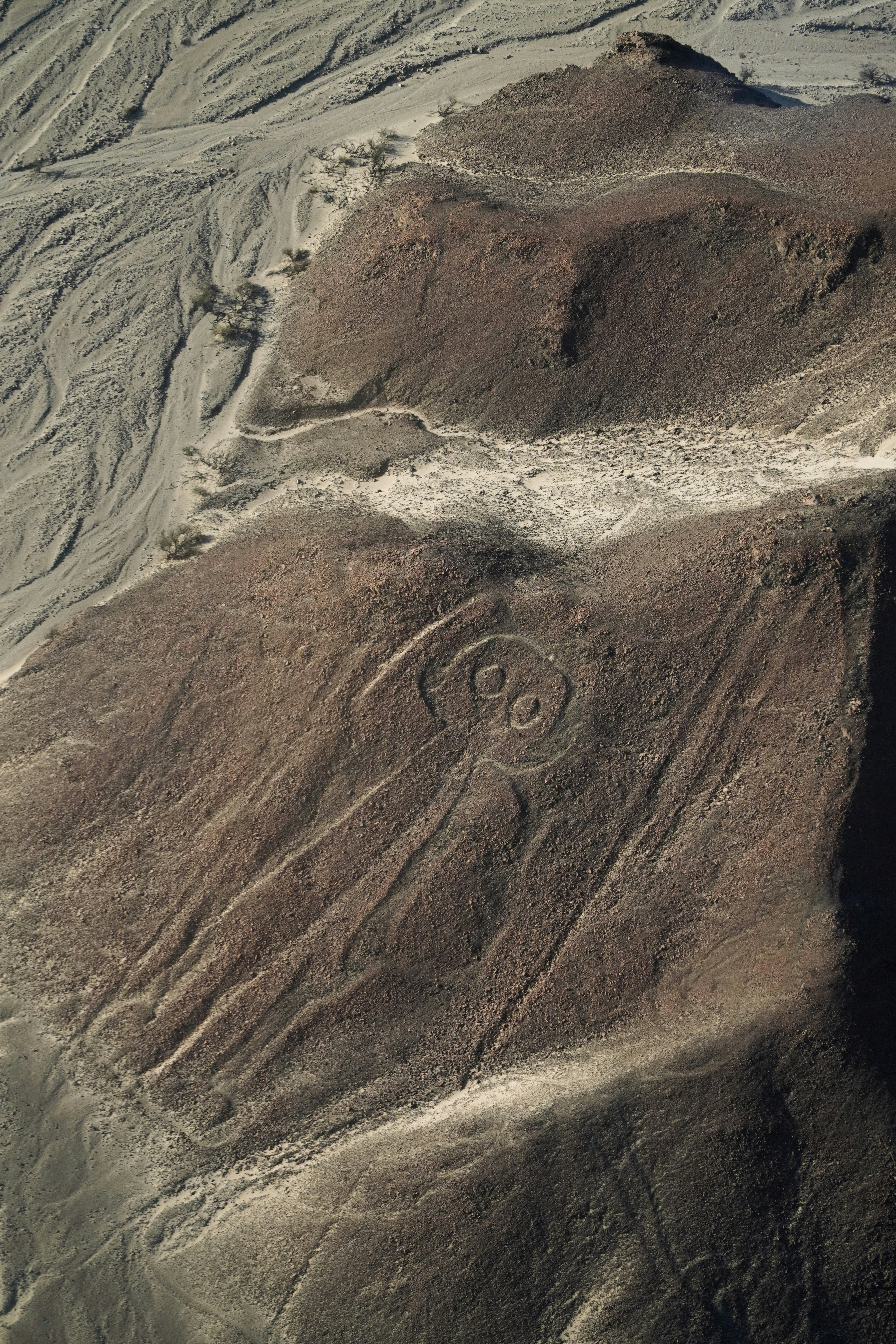 Nazca Lines Monkey Geoglyph